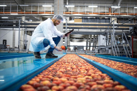 Alimentos